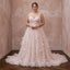 Plus Size Soft Blush Tulle Illusion Neckline Garden Wedding Dress