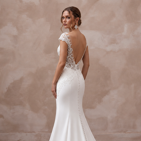 Elegant lace wedding dress with a deep V-back and cathedral train, perfect for a majestic ceremony.