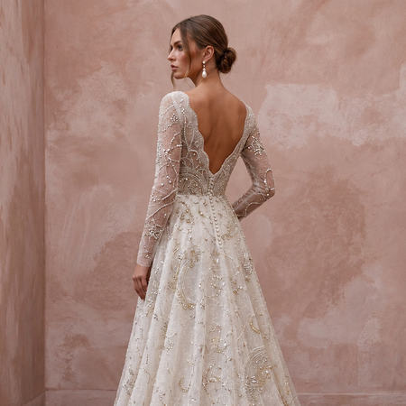Celestial Ivory Sparkle Tulle Long Sleeve A-Line Wedding Dress for Stargazing