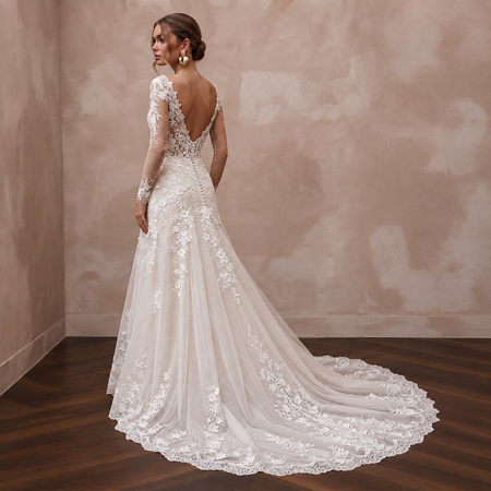 Dreamy Lace Bridal Dress with Illusion Sleeves