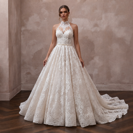 Elegant Lace Ball Gown Wedding Dress for a Church Wedding