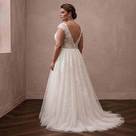 Back view lace wedding dress with illusion back V and flowing A-line tulle skirt