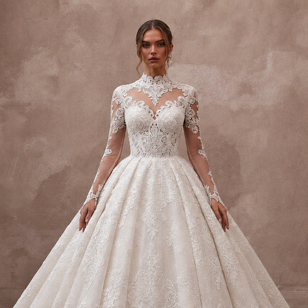 Princess Lace Ball Gown Wedding Dress with Long Sleeves