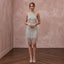 Silver Sequin Fringe Flapper Style Mini Evening Dress